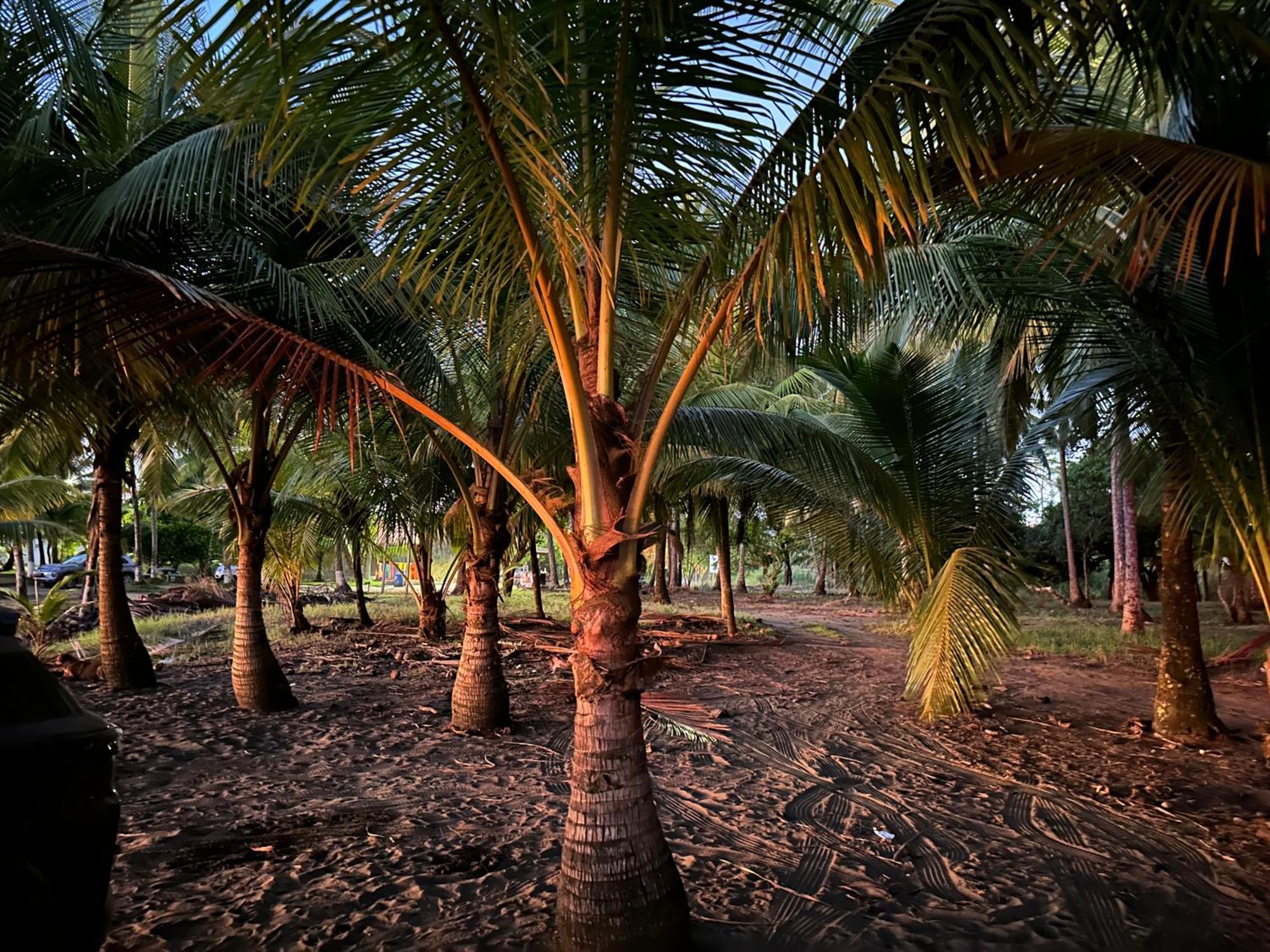 Casa Paraiso Tropical Парріта Екстер'єр фото