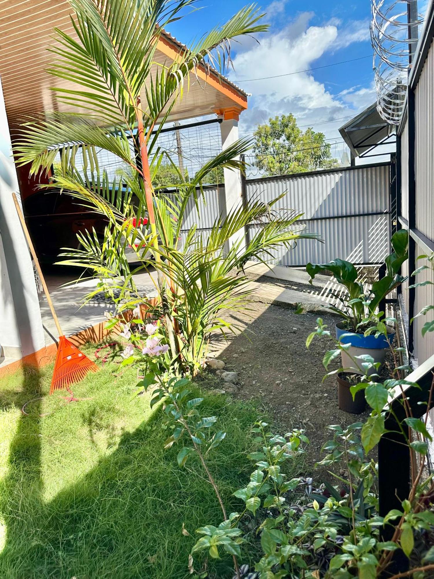 Casa Paraiso Tropical Парріта Екстер'єр фото